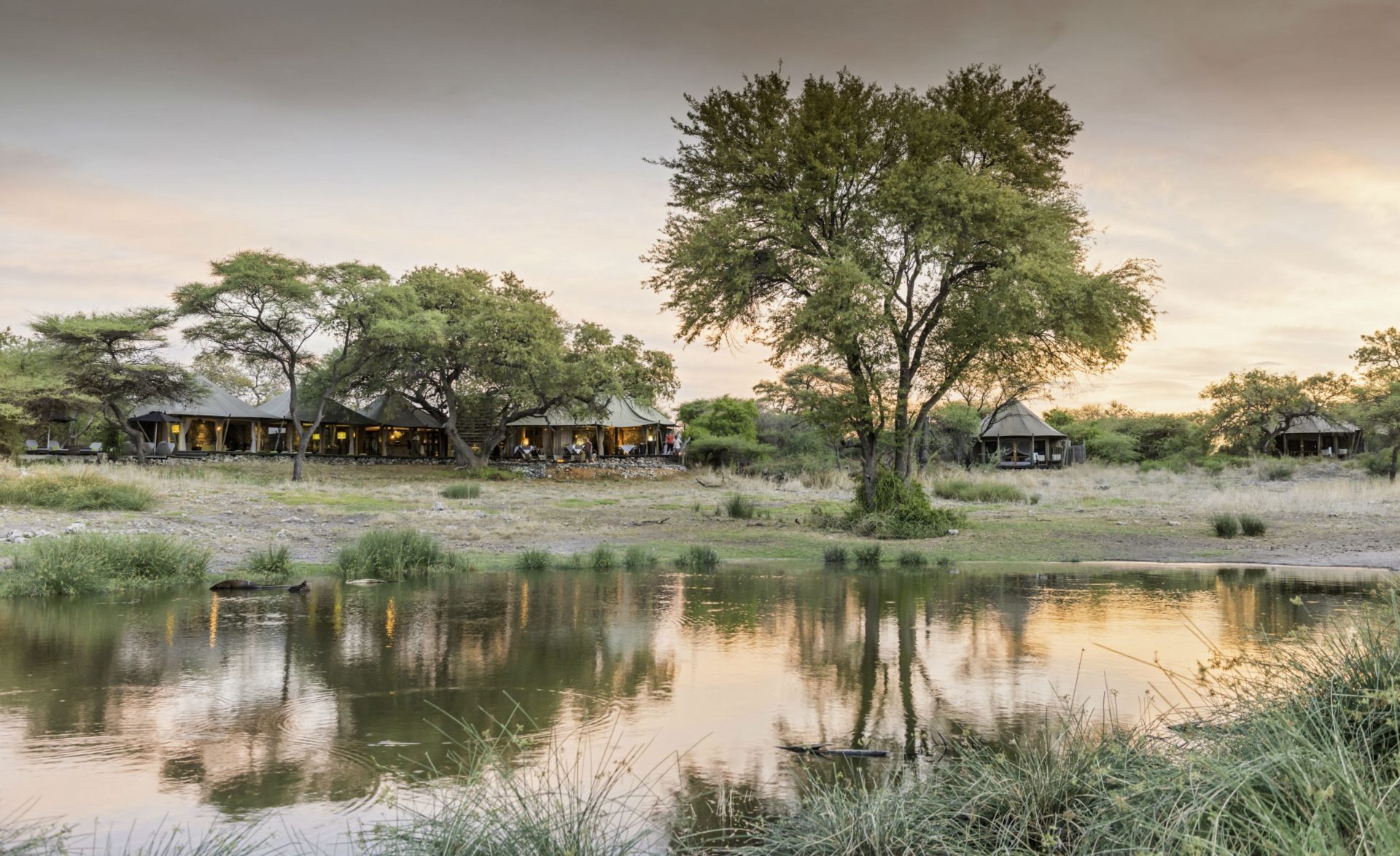 Namibia - 1552 -
