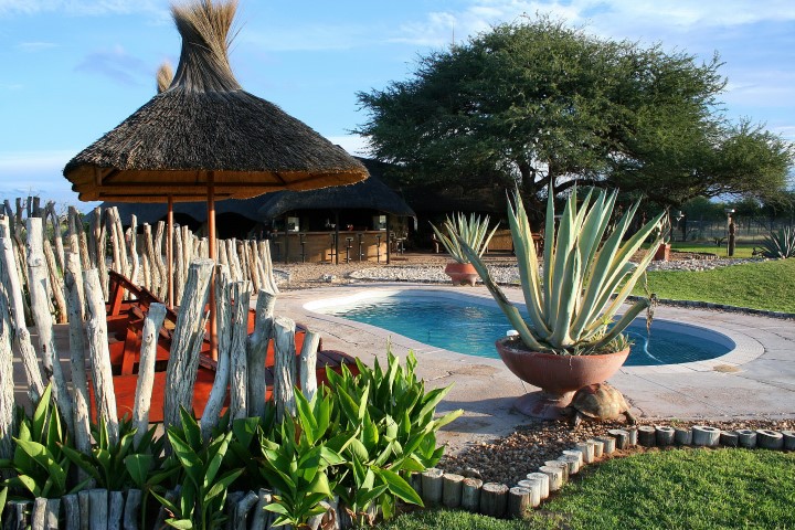 Namibia - 1552 - Harnas Wildlife - Pool