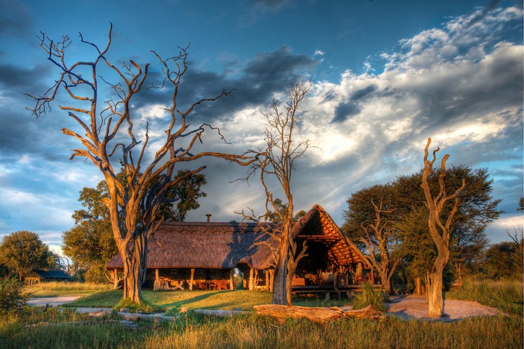 Zimbabwe - Hwange - 1564 - Bomani Tented Lodge