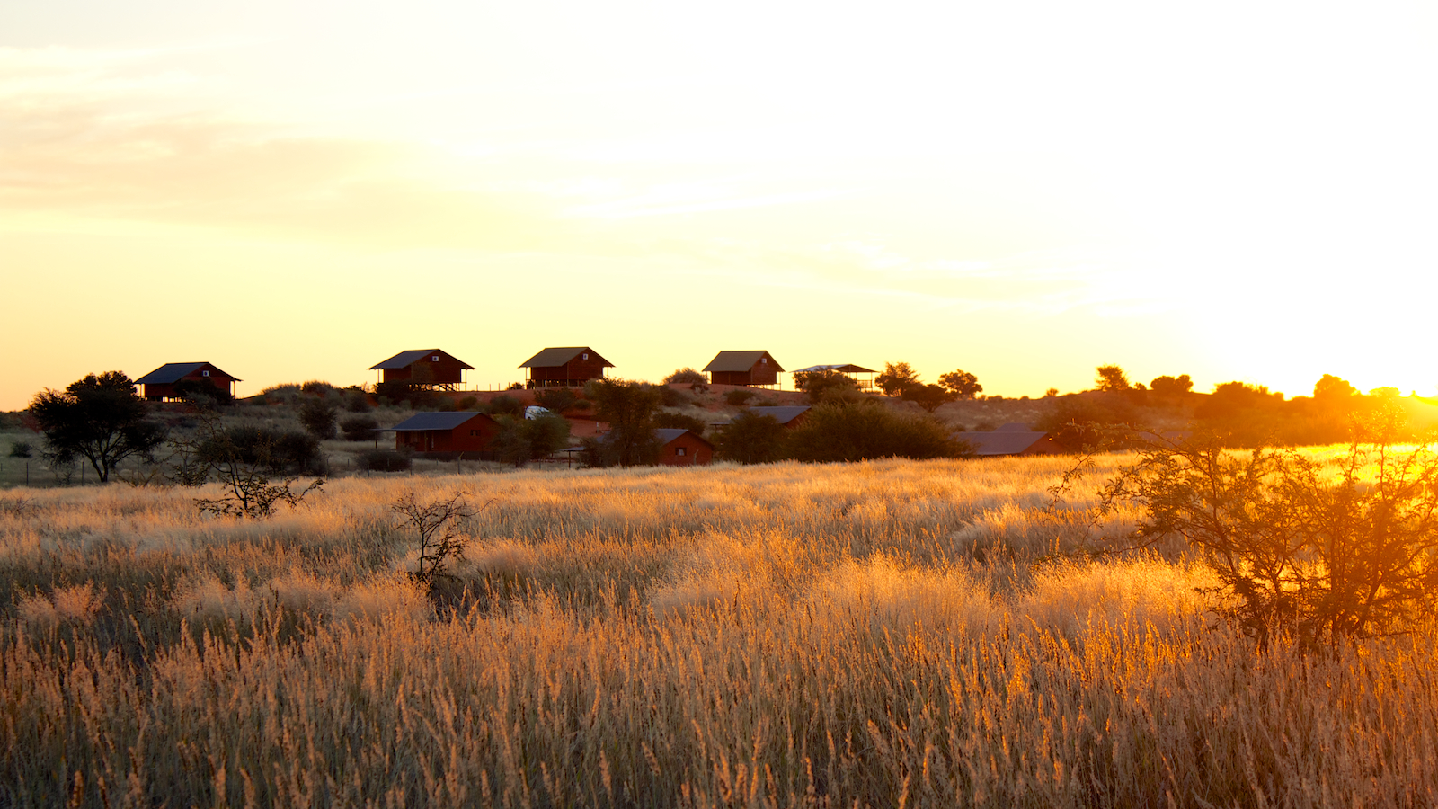 Namibia - 1552 - Bagatelle Kalahari - Sunrise