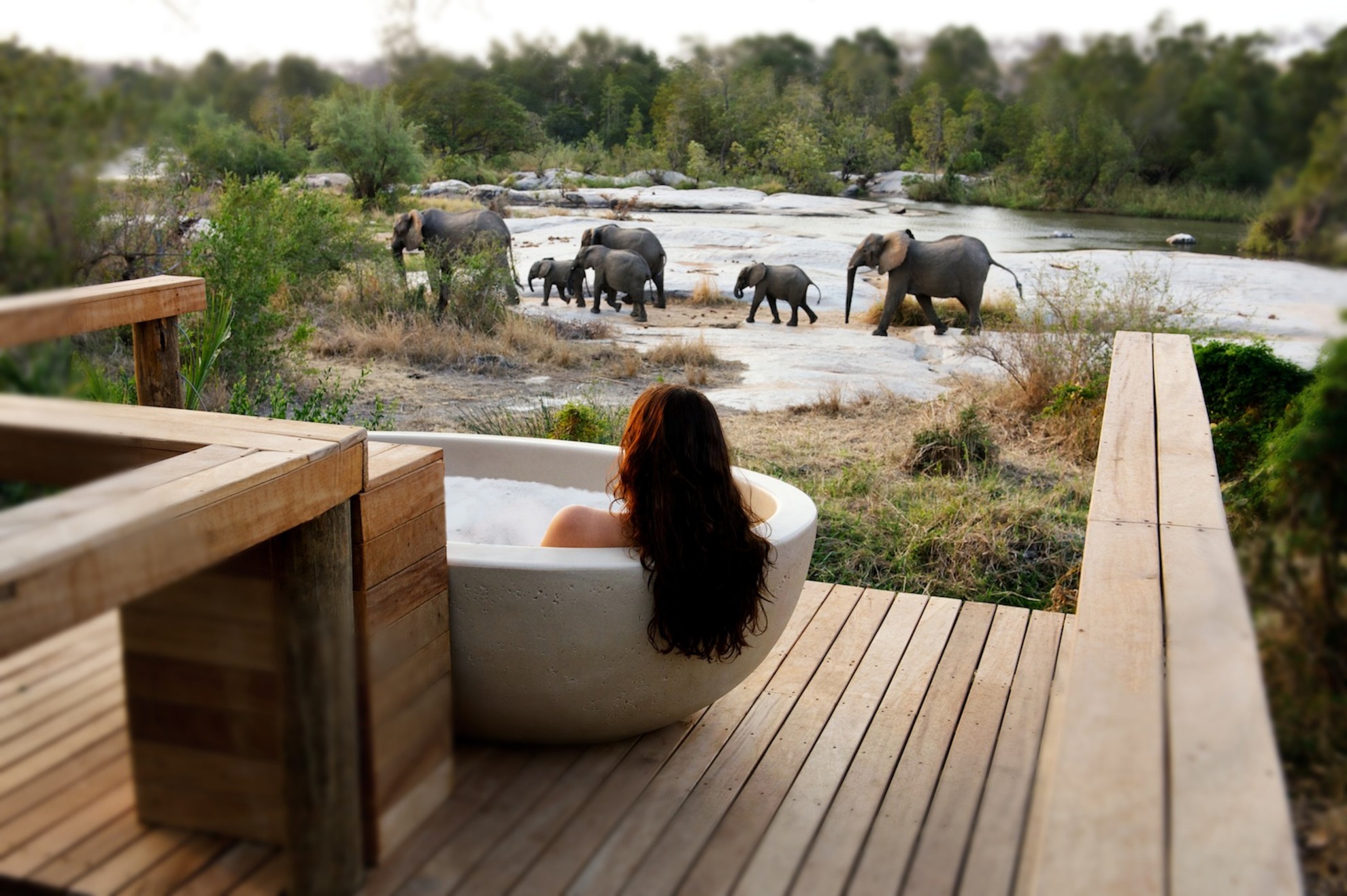 Londolozi Private Granite Suites Bath Expereince with Elephants