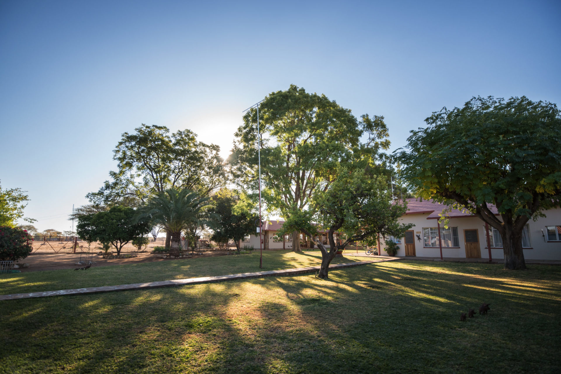 Namibia - 1552 - Dornhugel - Garden