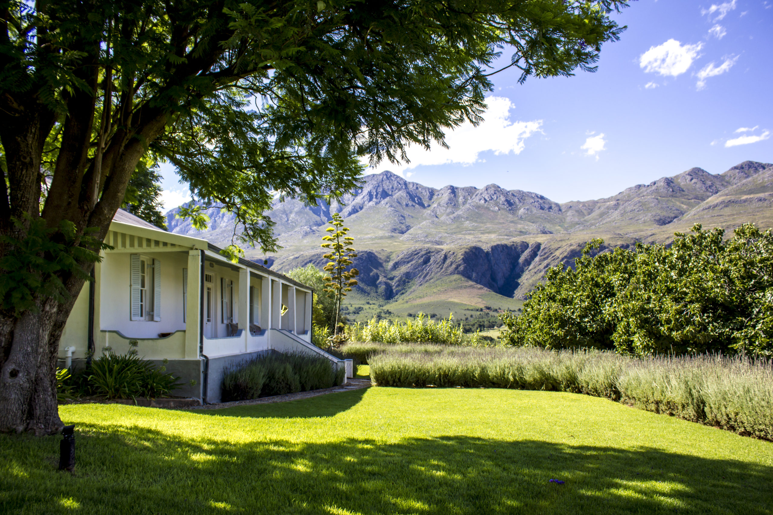 Swartburg Country Manor-Mountains