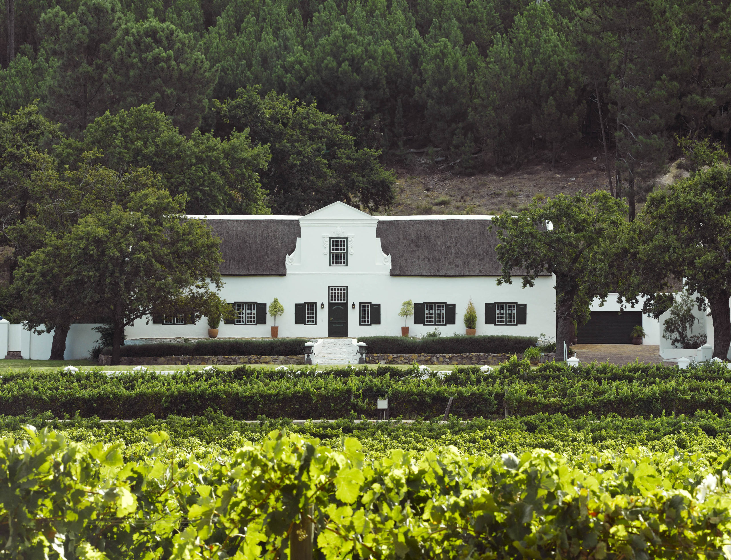 Rickety Bridge Manor House Winelands