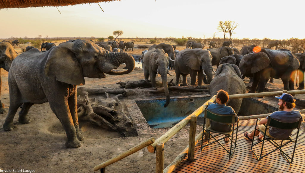 Zimbabwe - Hwange - 1564 - Decking overlooking Elephants