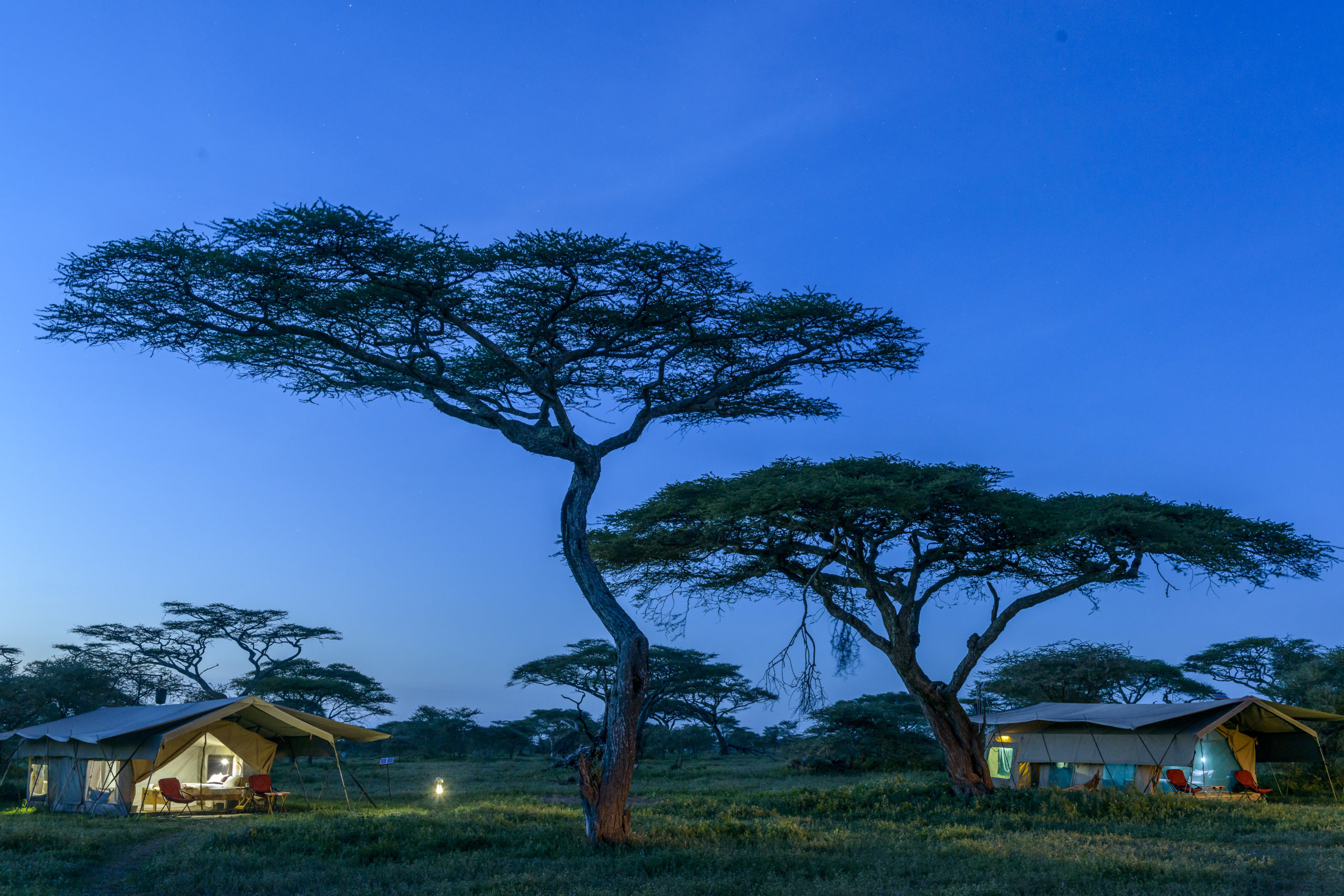 Ndutu Wilderness Camp At Night