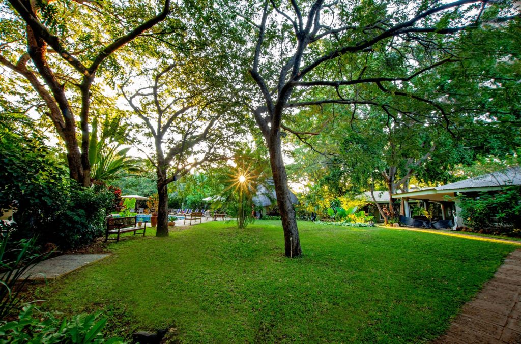 Bayete Guest Lodge Victoria Falls Zimbabwe Lodge Gardens