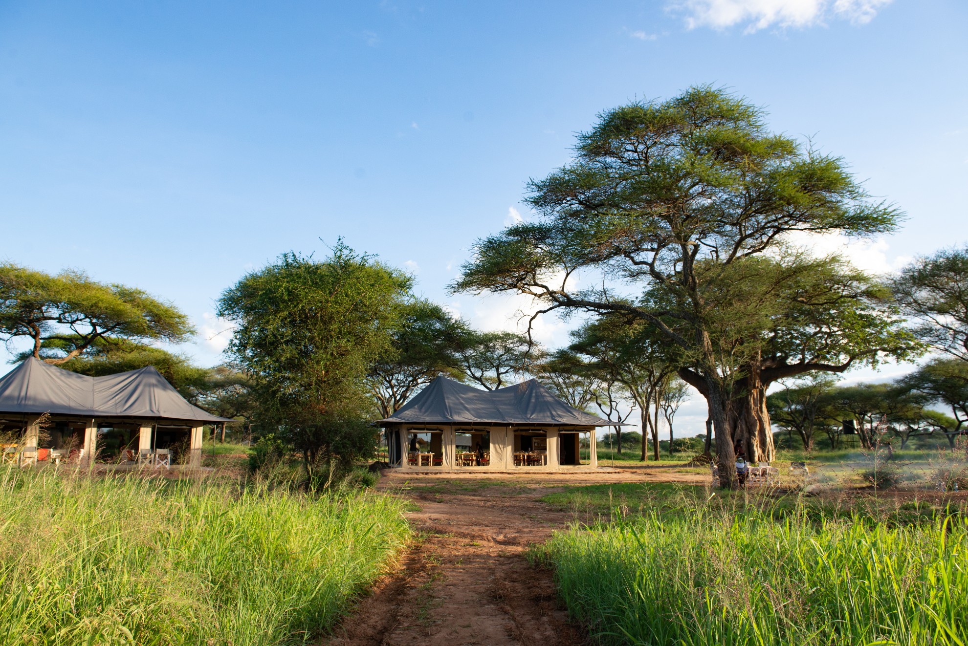 Lolkisale Camp Outside Tented Area