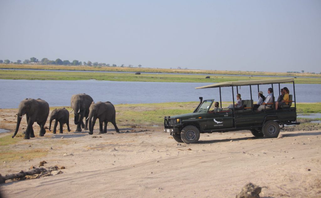 Botswana - Chobe National Park - 1553 - andBeyond Chobe Under Canvas Elephant Spotting