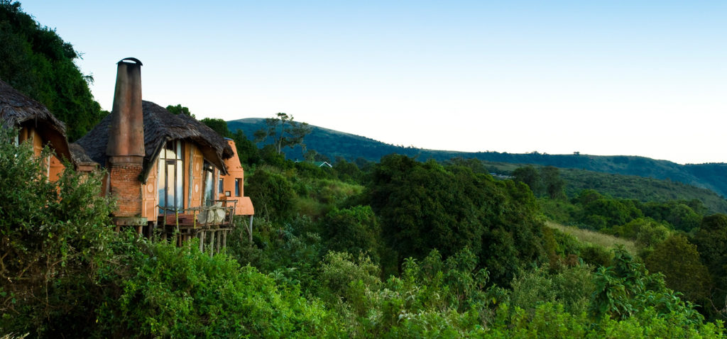 Tanzania - Ngorongoro Crater - 1568 - andBeyond Ngorongoro Crater Lodge Crater Views
