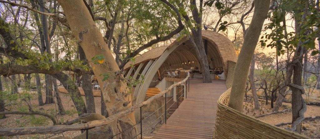 Botswana - Okavango Delta - 1553 - andBeyond Sandibe Okavango Safari Lodge