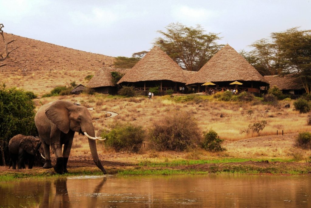 Kenya - Amboseli National Park - 12890 - Elewana Tortilis Camp Amboseli