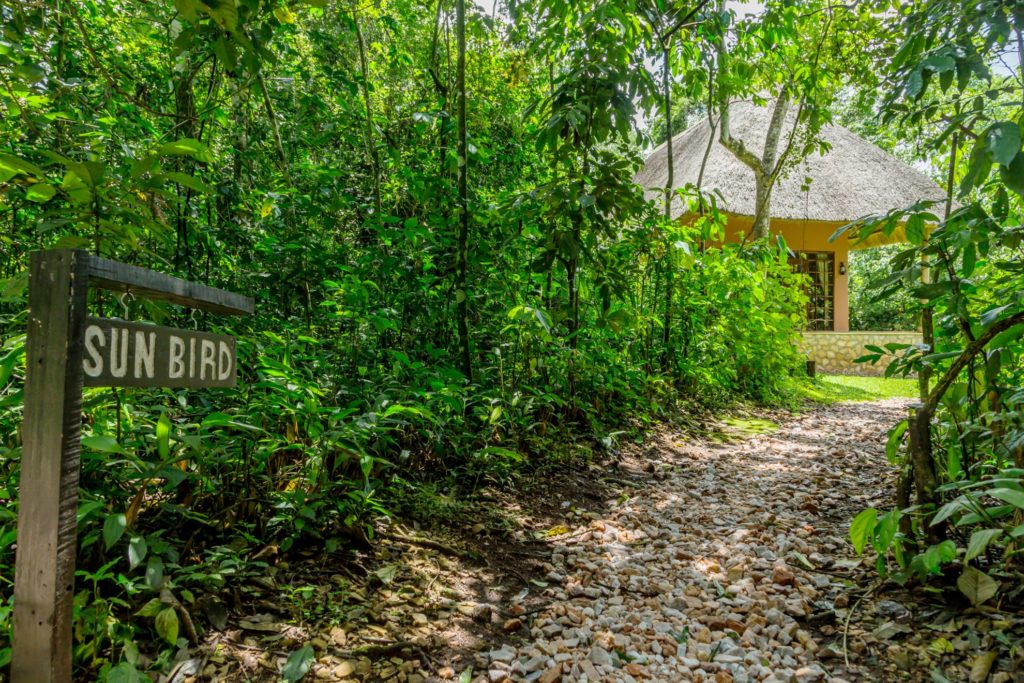 Primate Lodge Kibale Cottage Path