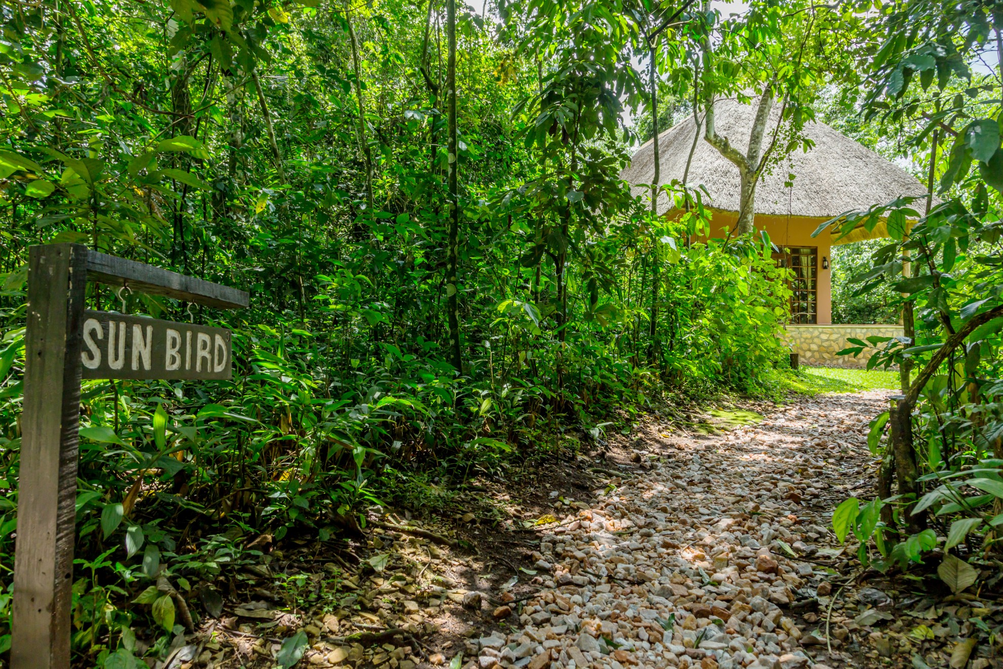 Primate Lodge Kibale Cottage Path