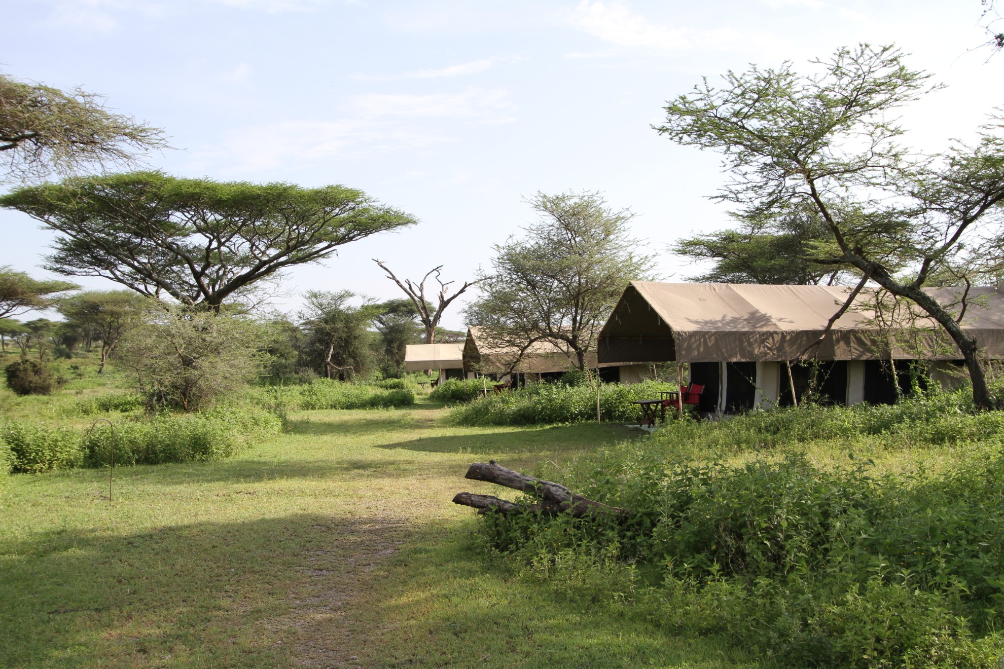 Camp Zebra Tented Location