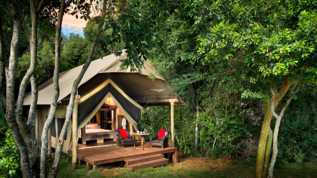 Kenya - Mara North Conservancy - 12890 - andBeyond Kichwa Tembo Classic Tent in Vegetation