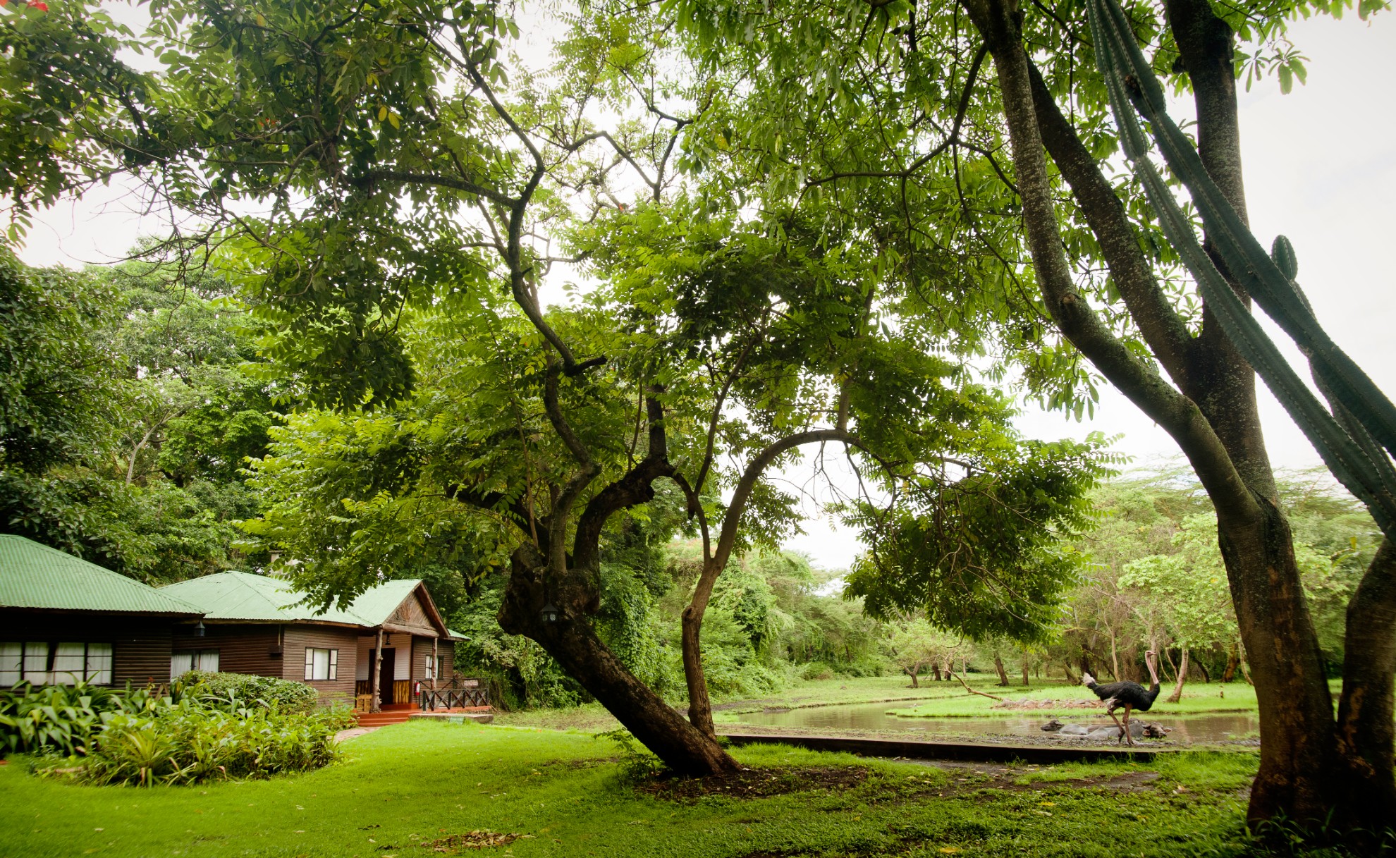 Mount Meru Game Lodge Gardens