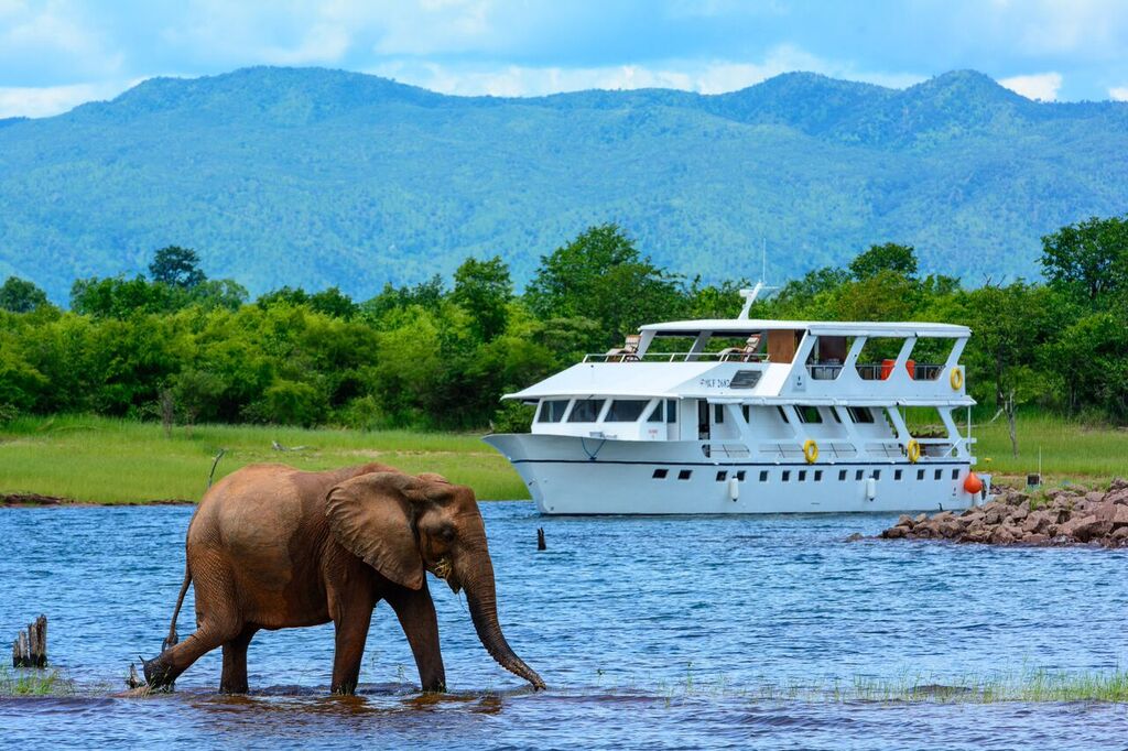 Matusadona Luxury Houseboat Lake Kariba Zimbabwe Elephant Encounter