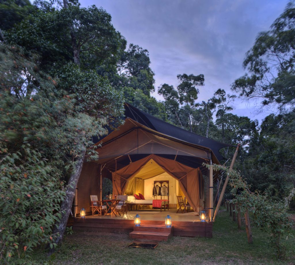 Kenya - Mara North Conservancy - 12890 - Safari Tent at Night