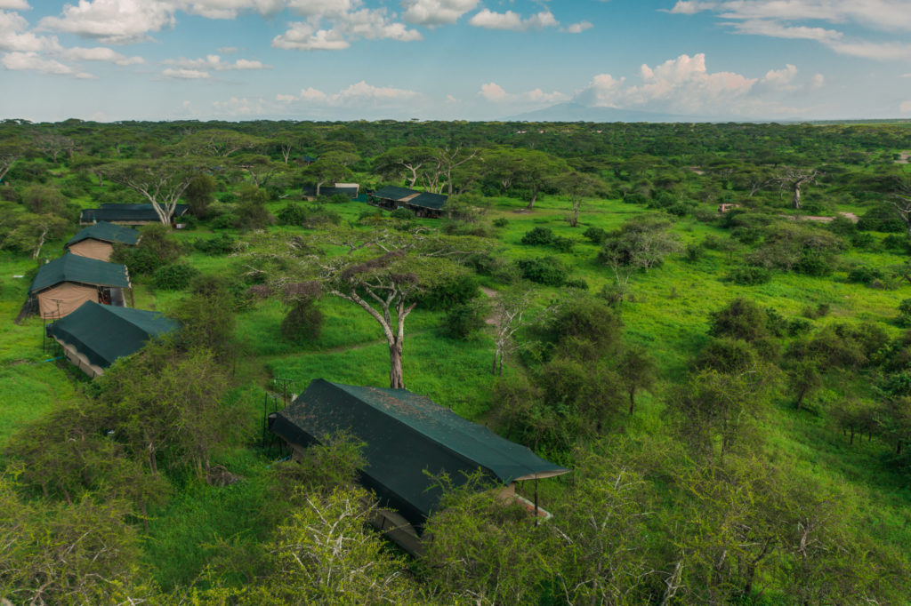 Tanzania - 17467 - lemala ndutu - aerial