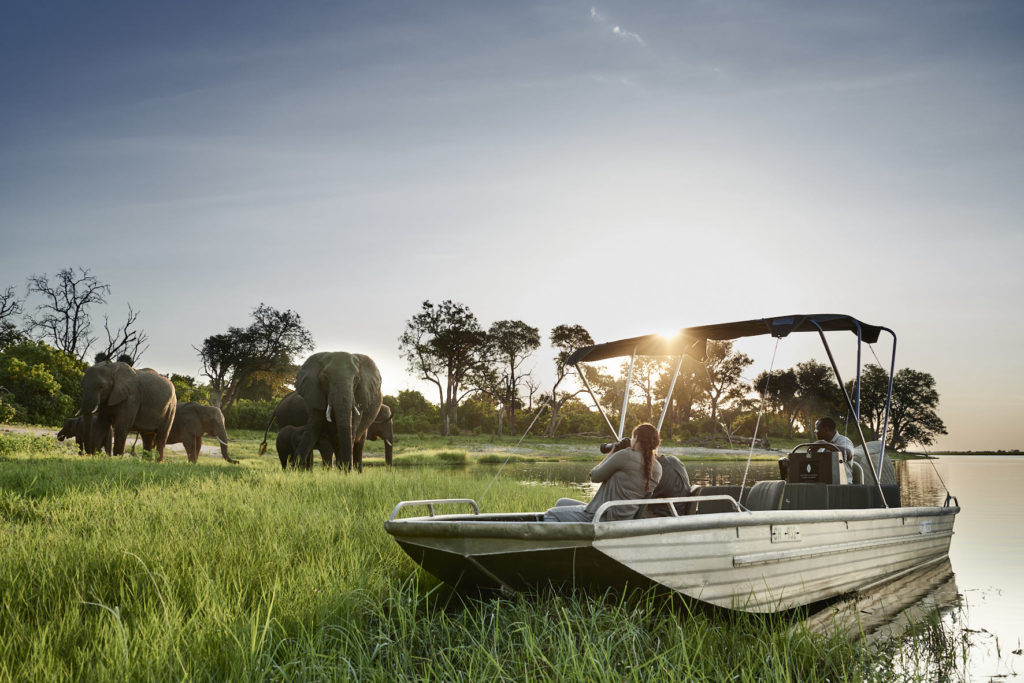 Botswana - Chobe River Front - 1553 - Sanctuary Chobe Chilwero elephants on bank
