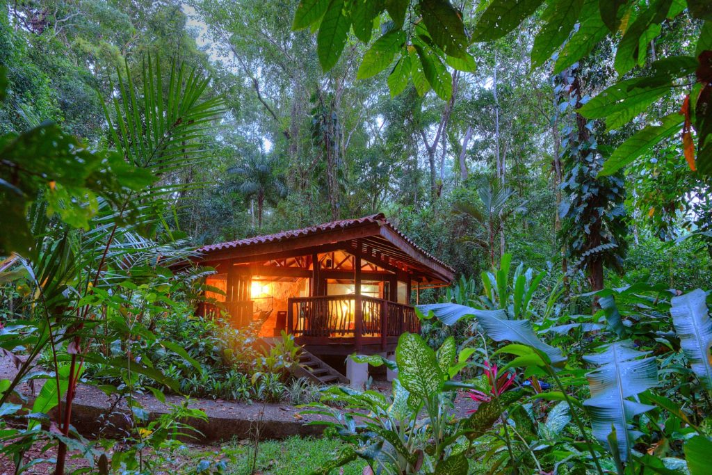 Costa Rica - Golfo Dulce - 1570 - Playa Nicuesa Jungle Gardens