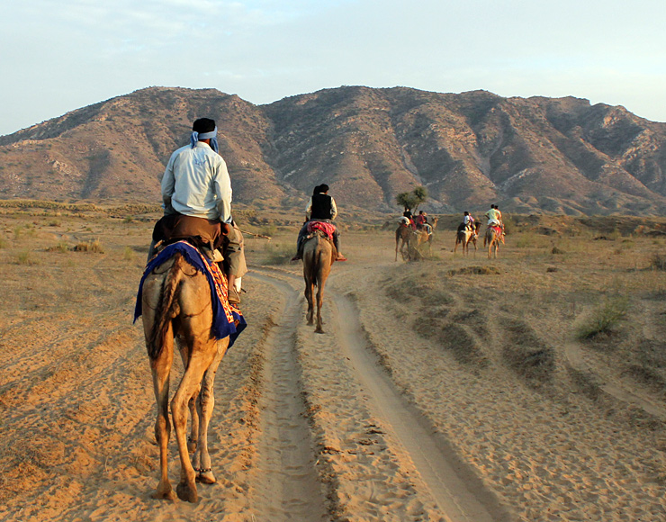 Rajasthan Camel Trekking
