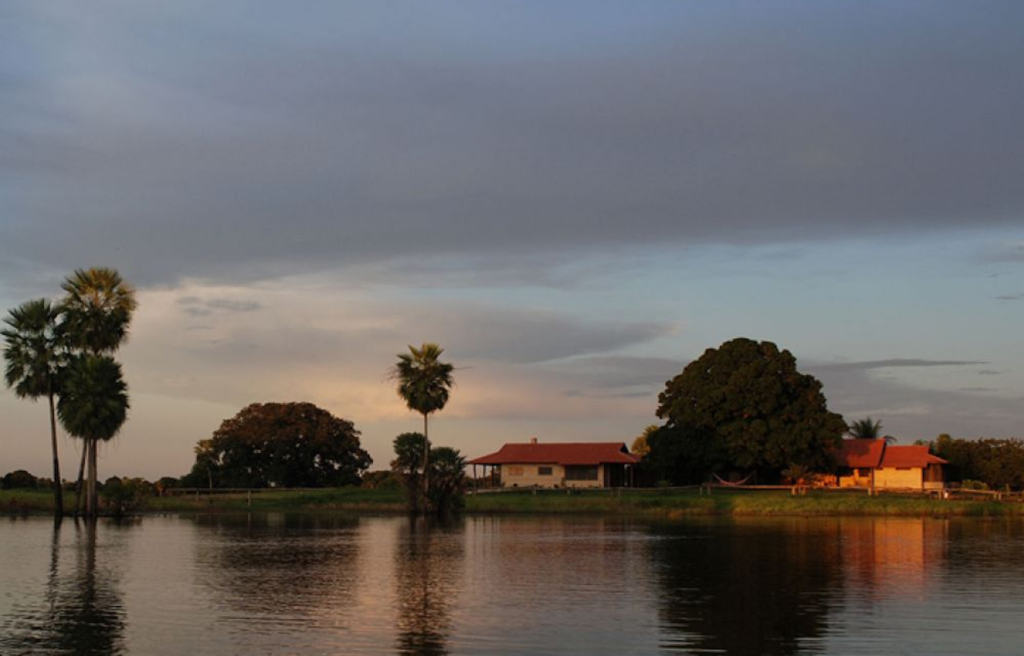Brazil - Southern Pantanal - 1569 - Fazenda Barranco Alto River Hotel