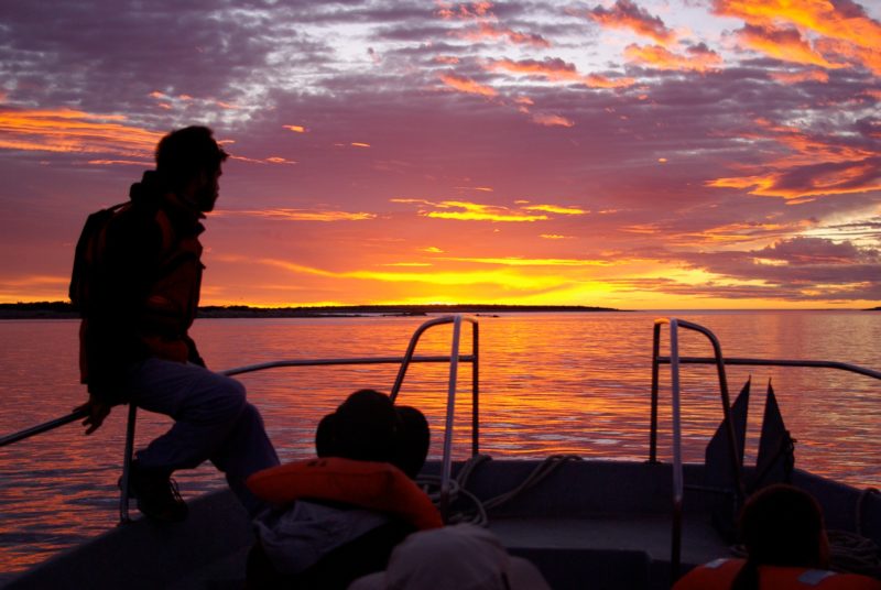 Argentina - 1584 - Bahia Bustamante Excursion - Route 3 - Sunset