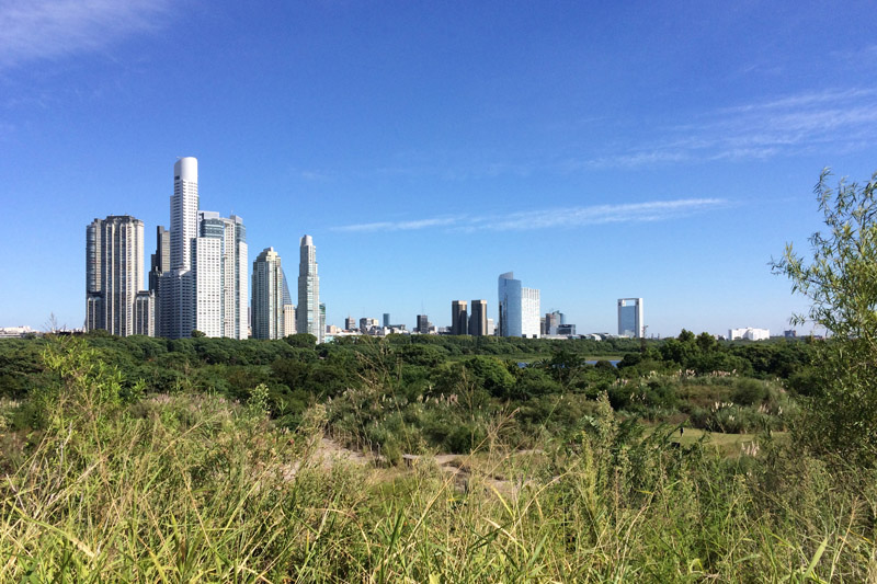 Argentina - 1584 - Ecological Reserve - Bird watching - City Scape