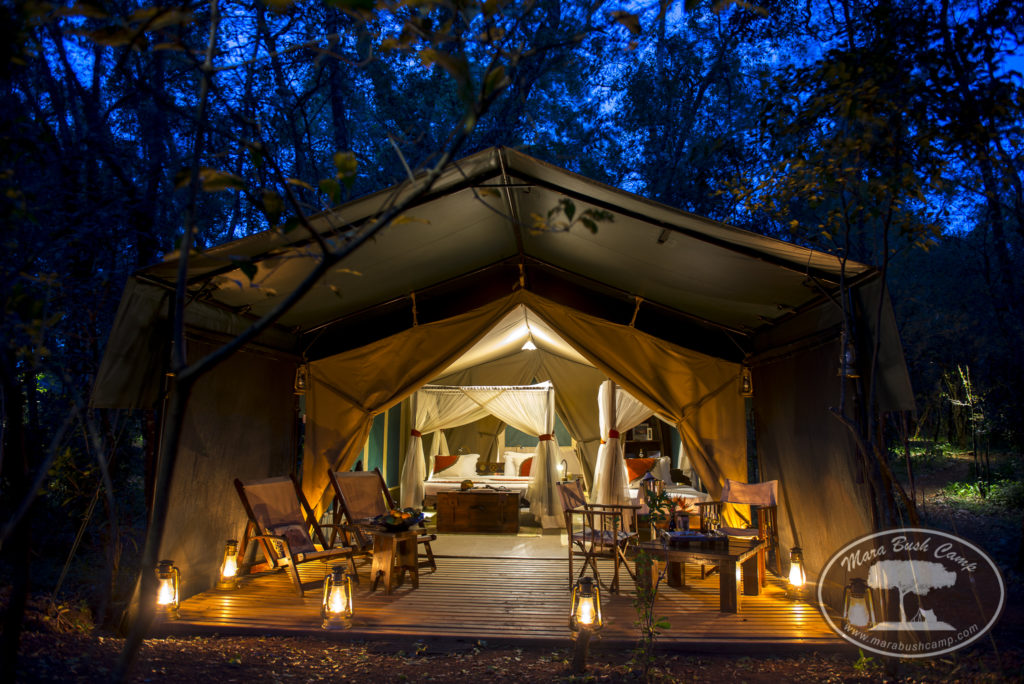 Kenya - Masai Mara - 12890 - Mara Bush Camp at night