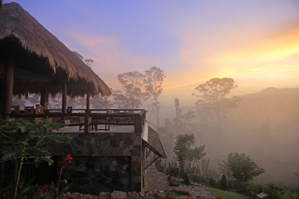 Sri Lanka - Greenland Estate - 1567 - 98 Acres sunset