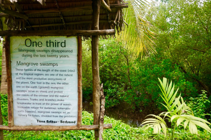 Community Mangrove Eco Project, Madagascar