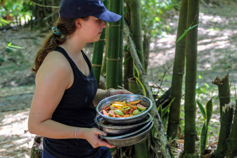 Feeding Lemurs on Volunteer Project