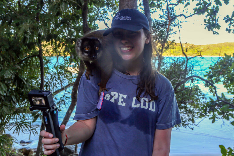 Lemur Conservation in Madagascar