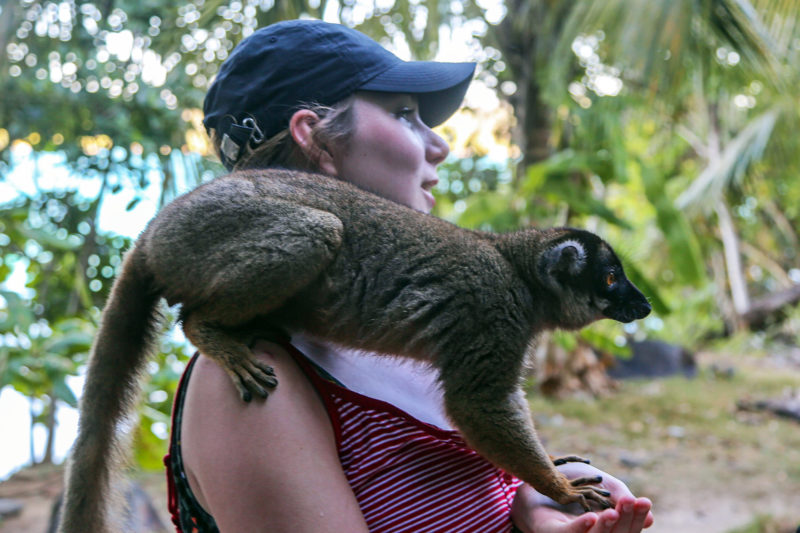 Nosy Be Lemur Project in Madagascar