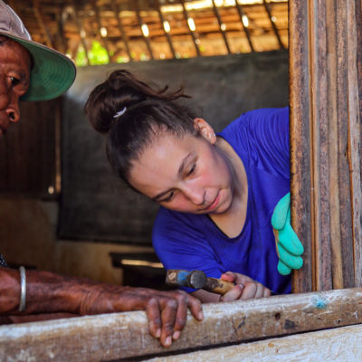 Construction and Renovation Project in Madagascar, Nosy Be