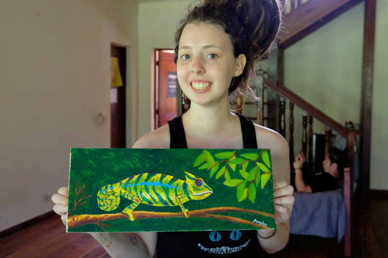 Painting Session on Madagascan Wildlife