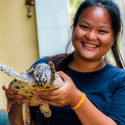 Bali Turtle Conservation Project in Indonesia, Nusa Penida