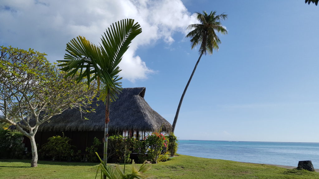 French Polynesia - Tahiti - 1572 - Hotel Hibiscus sea view