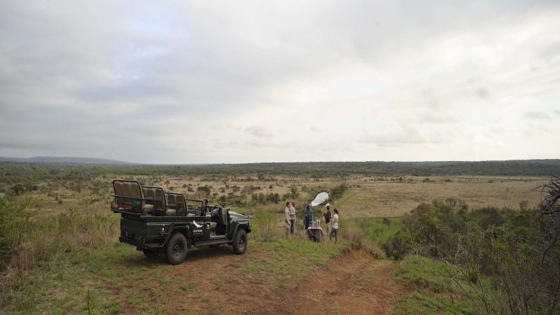 andBeyond Phinda Private Game Reserve - Vlei Lodge - Game Drive