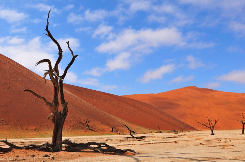 Sossusvlei Lodge - Deadveli
