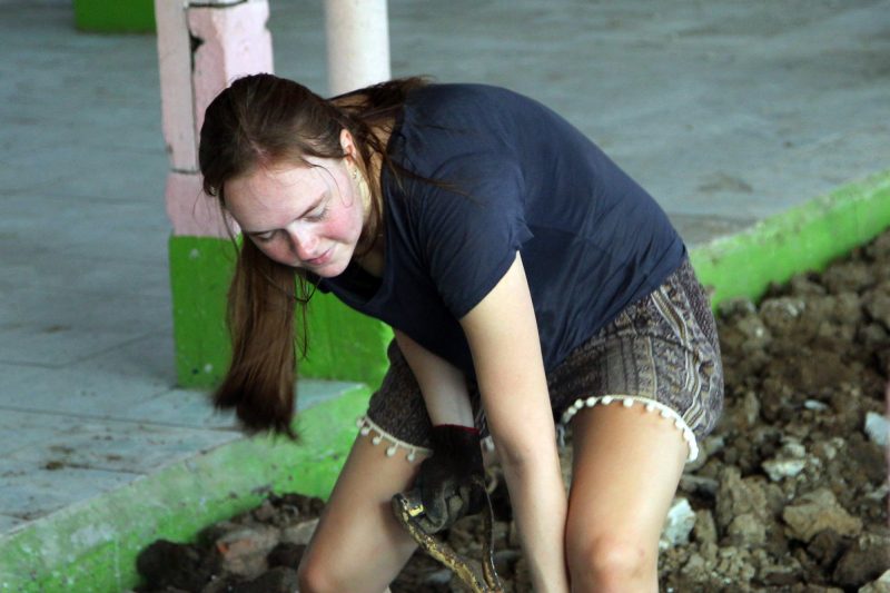 Volunteer Building Project in Thailand