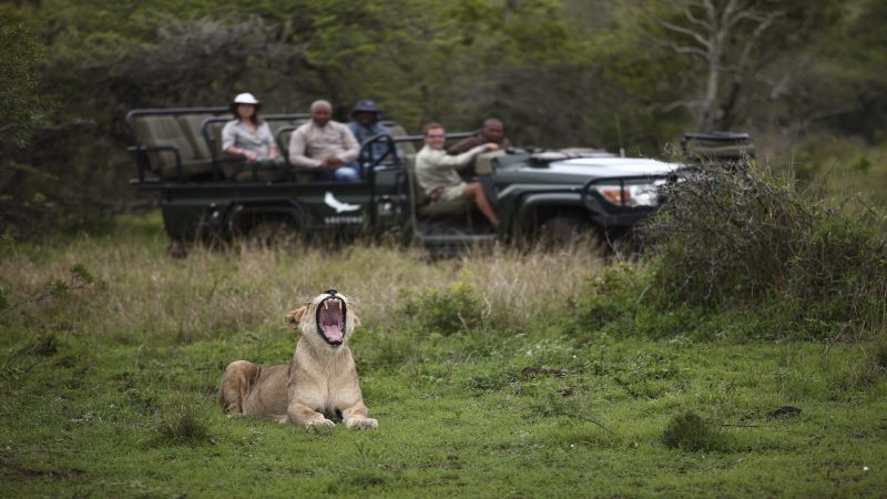 andBeyond Phinda Private Game Reserve - Mountain Lodge - Game Drive