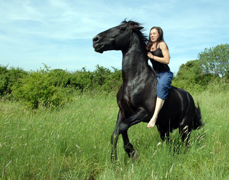 Horse riding in Argentina