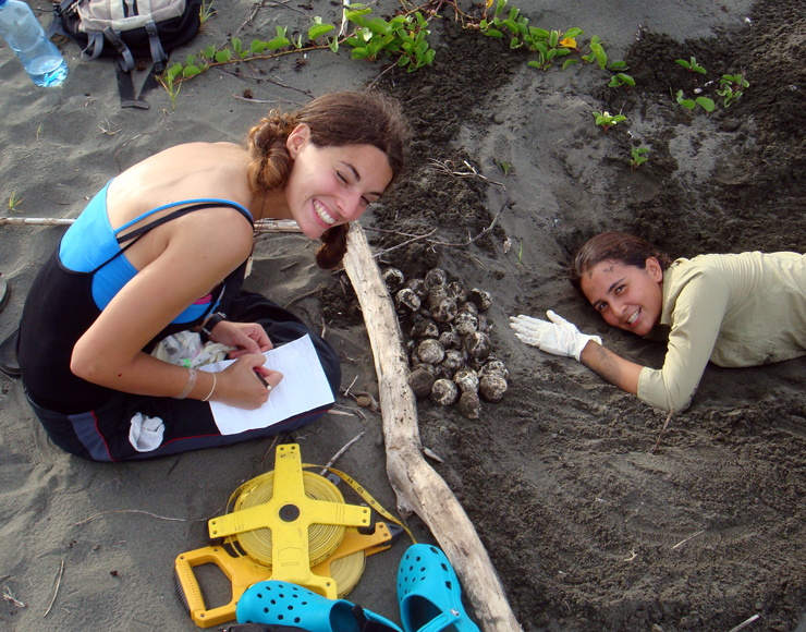 Turtle Conservation in Costa Rica