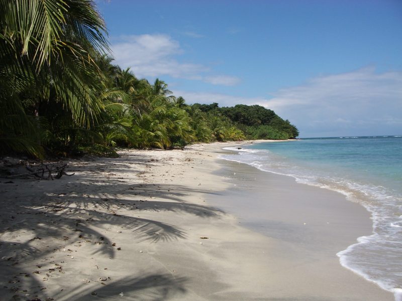 Costa Rica beach with palm trees