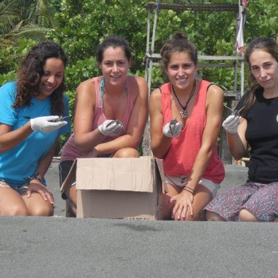 Culture and Conservation Group Tour in Costa Rica