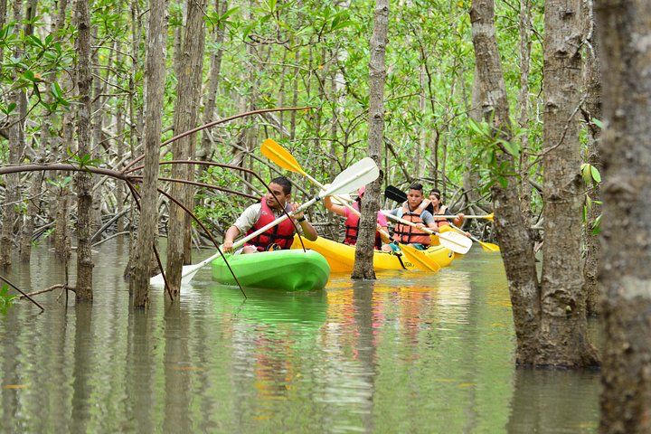 Kayaking tour through mangroves in Costa Rica